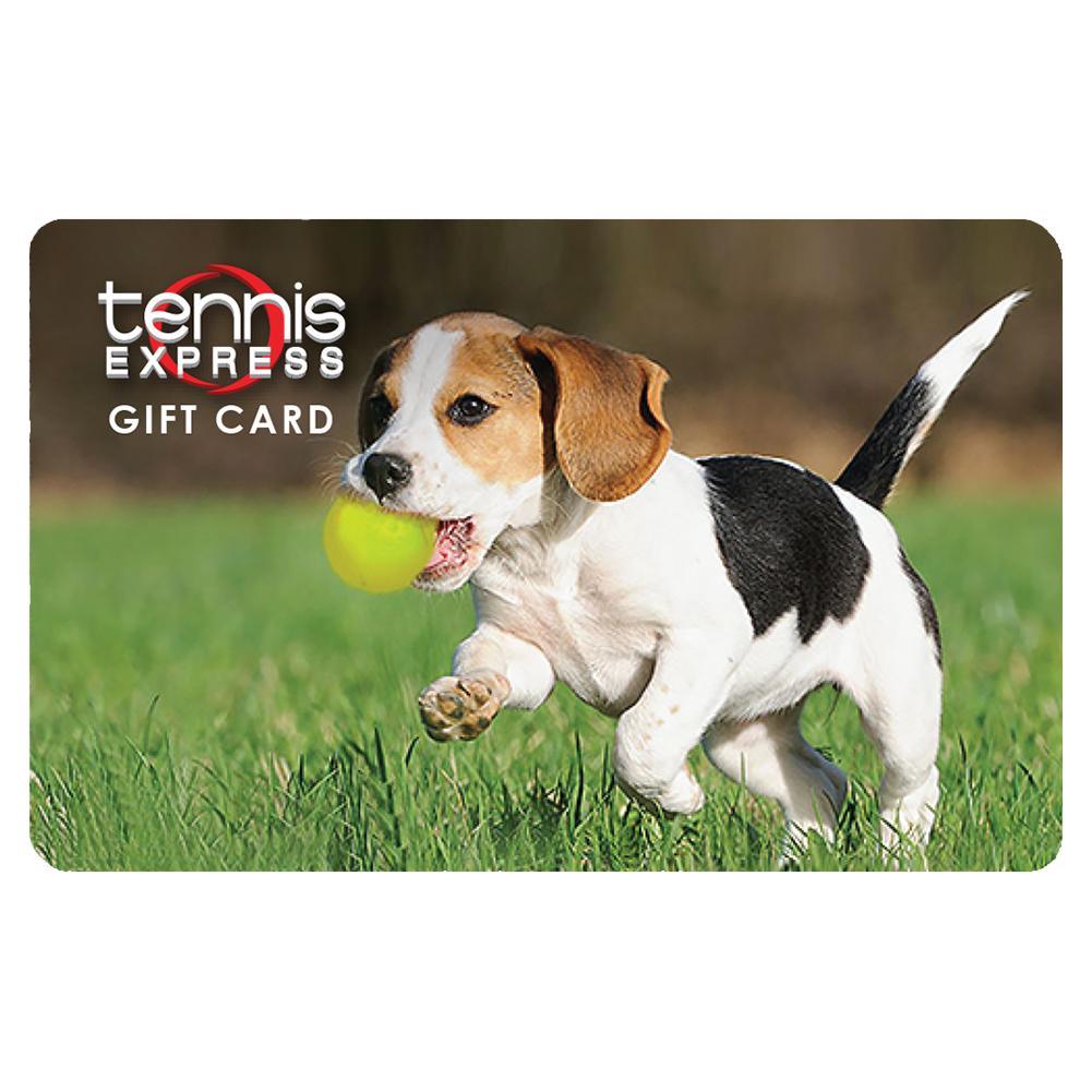 Funny No Show Dog Gift Cards - Perfect for Pet Lovers & Humor Gifts (Set of 5) - Great for Birthdays, Holidays & Special Occasions