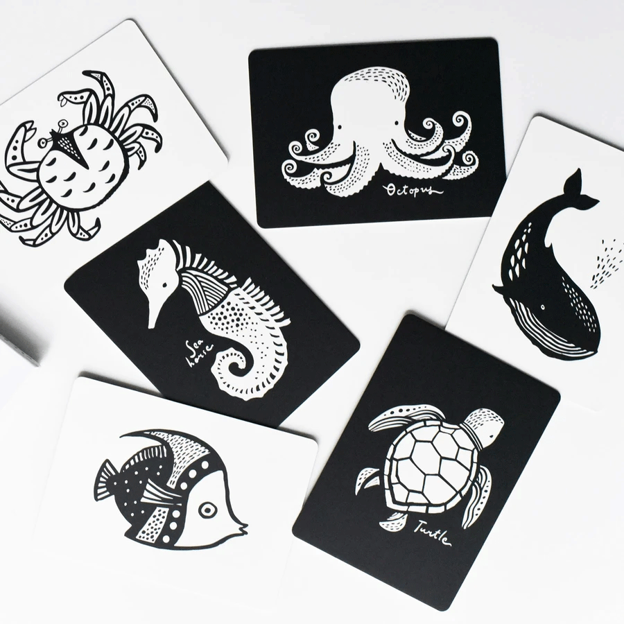 Wee Gallery Ocean Art Cards for Babies - High Contrast Black and White Educational Flashcards for Newborns & Infants - Perfect for Nursery Decor, Baby Shower Gifts & Early Learning Development