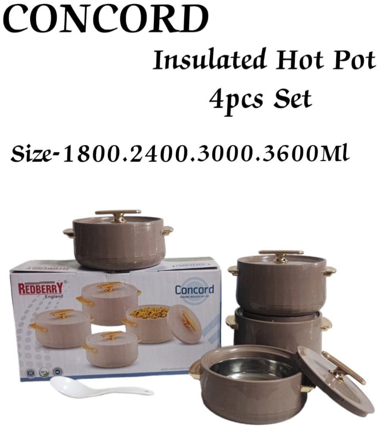 Insulated Hot Pot - 3L Stainless Steel Double Wall Vacuum Insulated Food Container for Soup, Stew & Rice - Perfect for Camping, Picnics & Office Lunch (Concord)