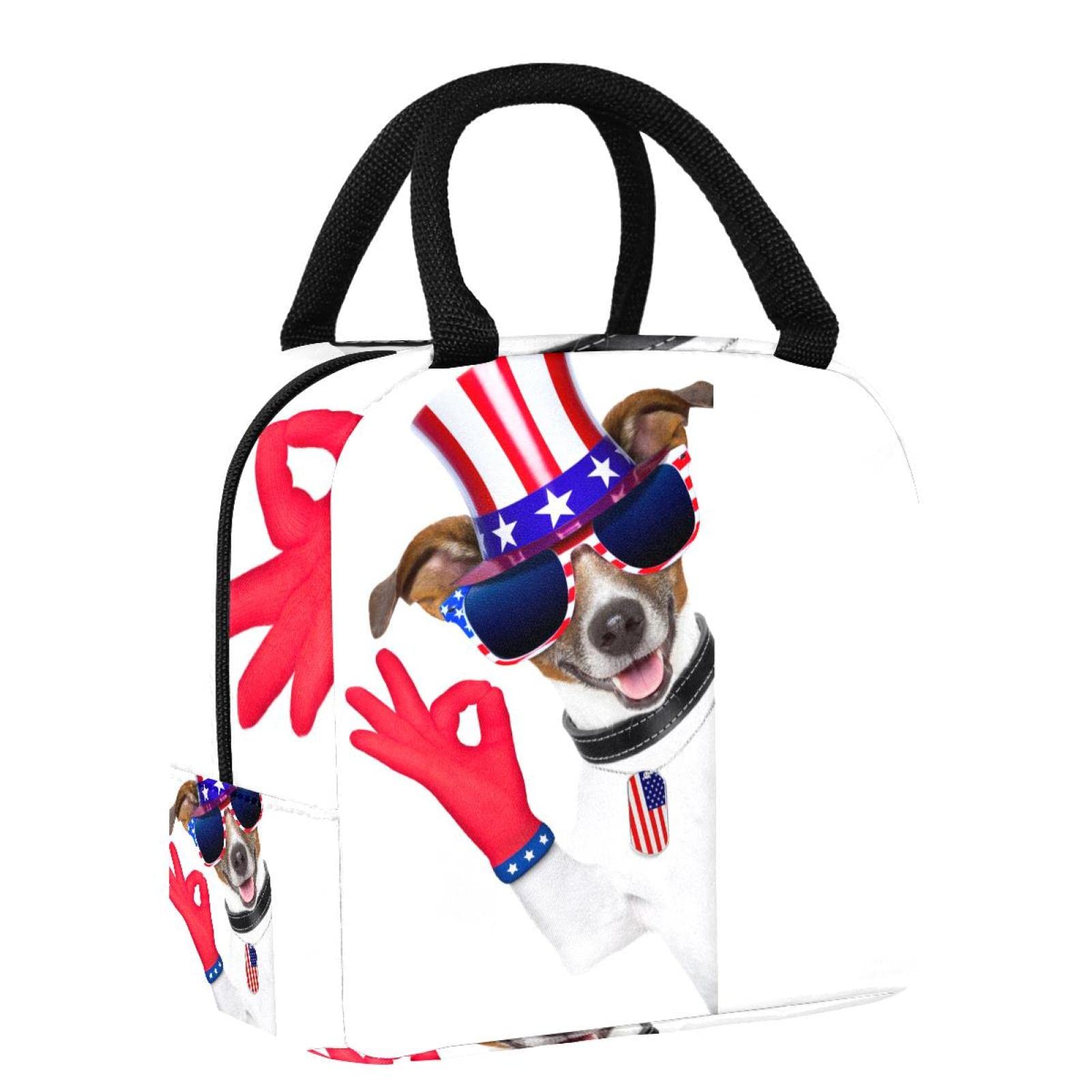 Eco-Friendly Reusable Insulated Dog Meal Kit - Leak-Proof Lunch Box for Office, School & Picnic | Keep Pet Food Fresh & Cool All Day