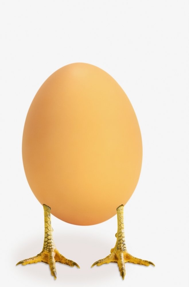 ThinkandPlay Egg with Bird Legs - British Columbia Canada Poster Print 12x19 Inch - Unique Wall Art for Home, Office & Nursery Decor