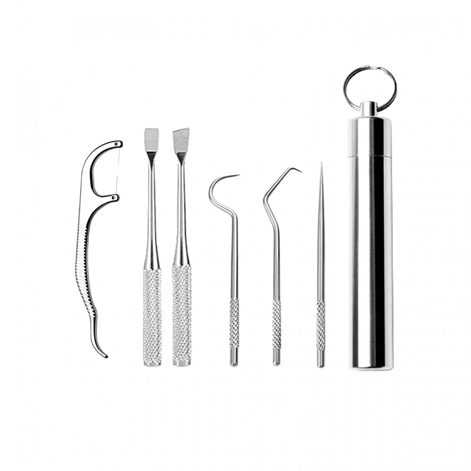 6PCS Stainless Steel Toothpick Set - Portable Reusable Metal Toothpicks with Key Ring | Teeth Cleaning Kit for Travel, Camping, Picnics & Daily Oral Hygiene Care