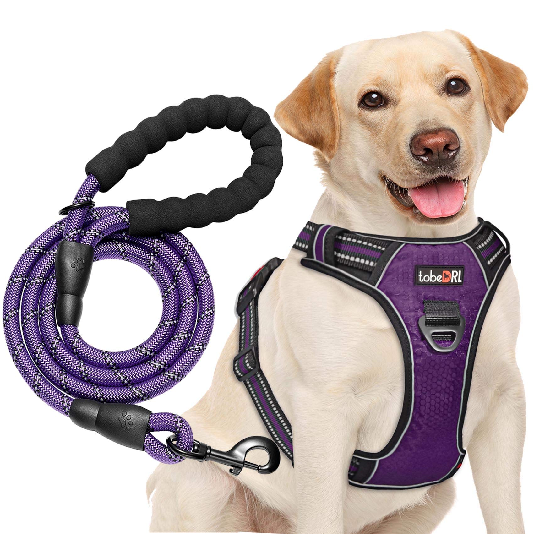 No Pull Dog Harness Adjustable Reflective Oxford - Easy Control Pet Vest for Medium & Large Dogs with Heavy Duty 5ft Leash (XL Size: Neck 21.5