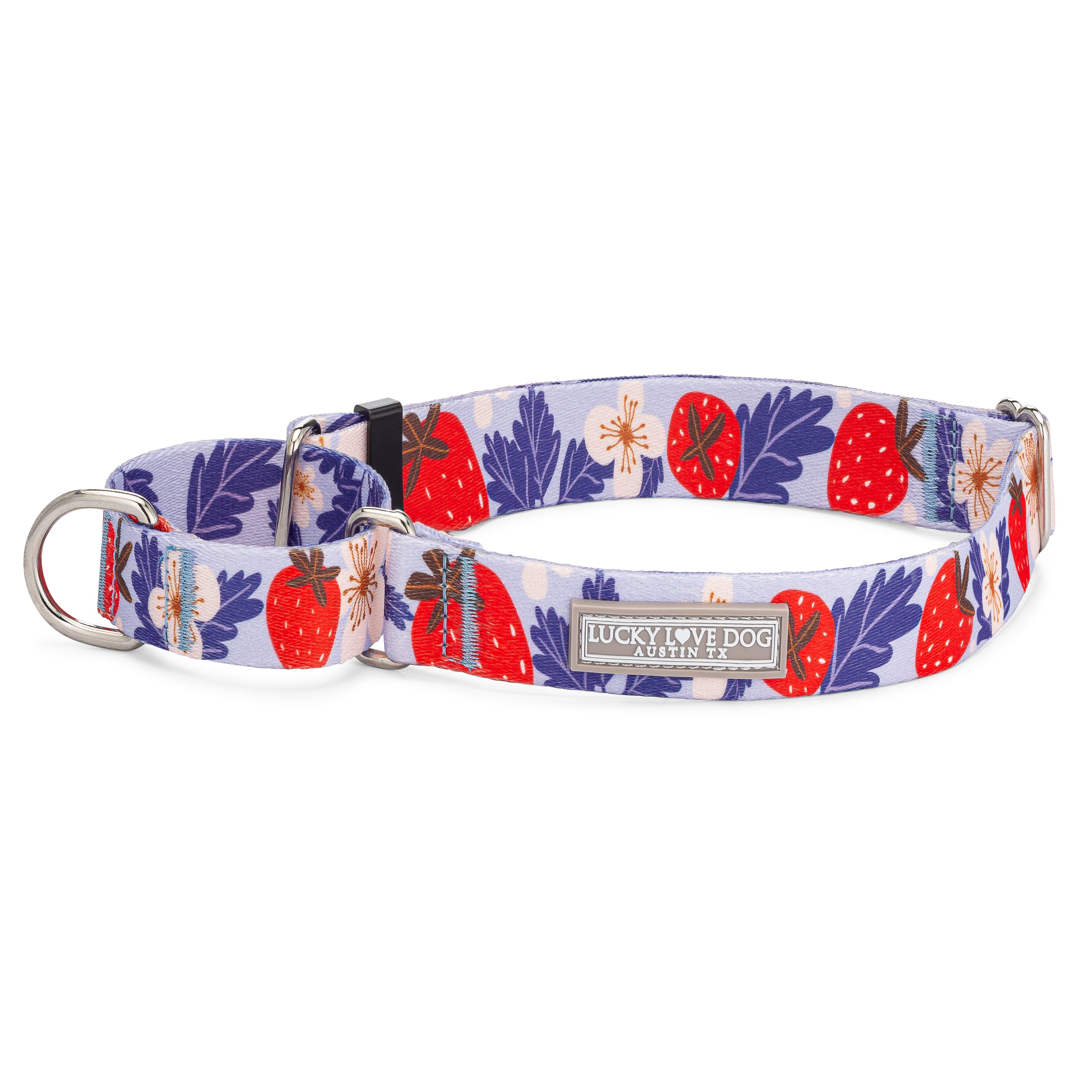 Sweet Berry Martingale Dog Collar - Durable Nylon Training Collar for Small & Medium Dogs - Perfect for Walking, Training, and Outdoor Adventures