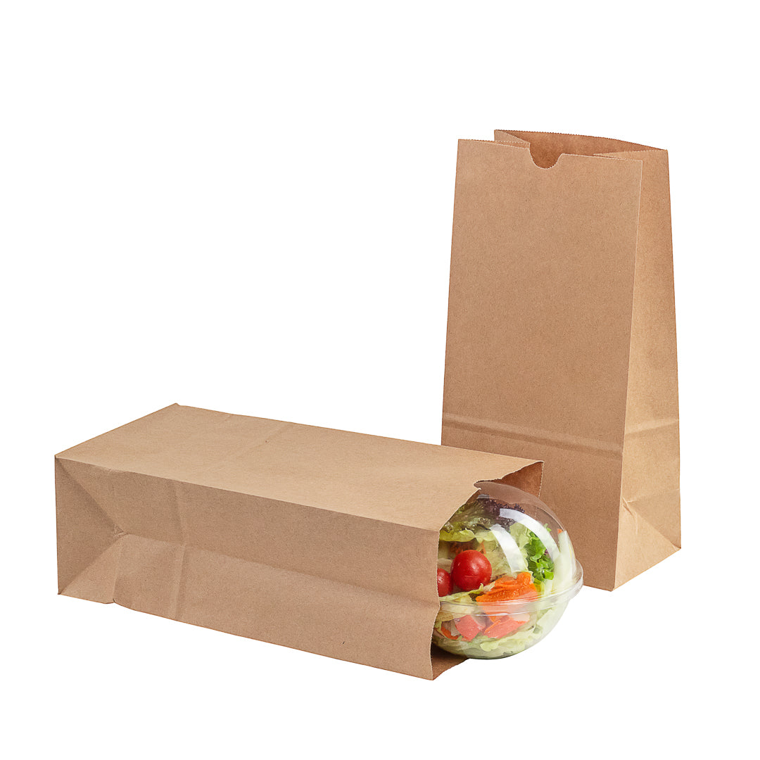 Premium Kraft Paper Bags 8 lb Capacity - 6 x 4 x 11.75 Inches - 100 Count Box - Eco-Friendly Shopping Bags for Retail, Grocery & Gift Packaging
