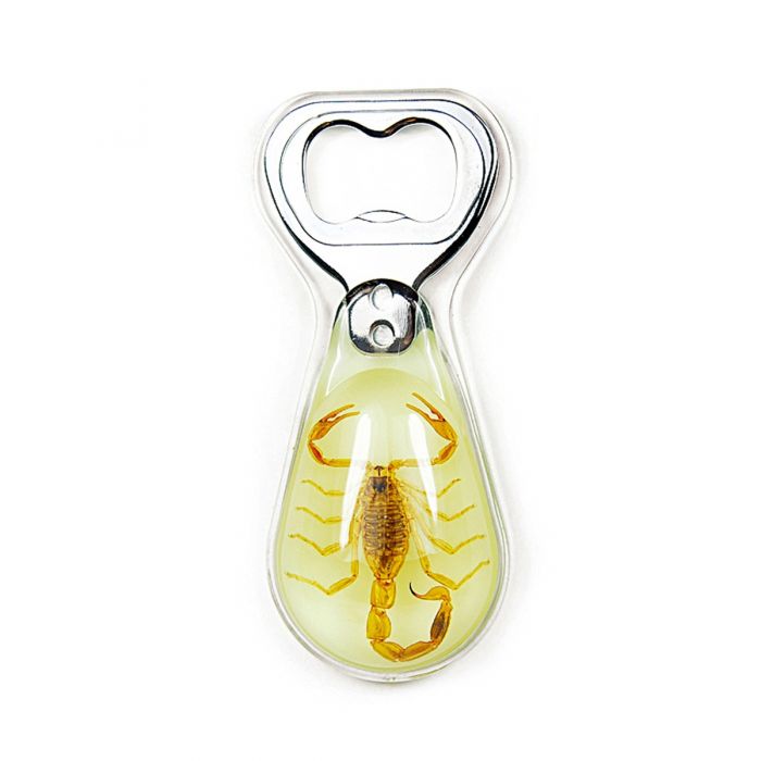 Real Golden Scorpion in Acrylic Bottle Opener - Unique Collectible & Conversation Starter for Home Bar, Man Cave, or Gift for Scorpio Zodiac Fans