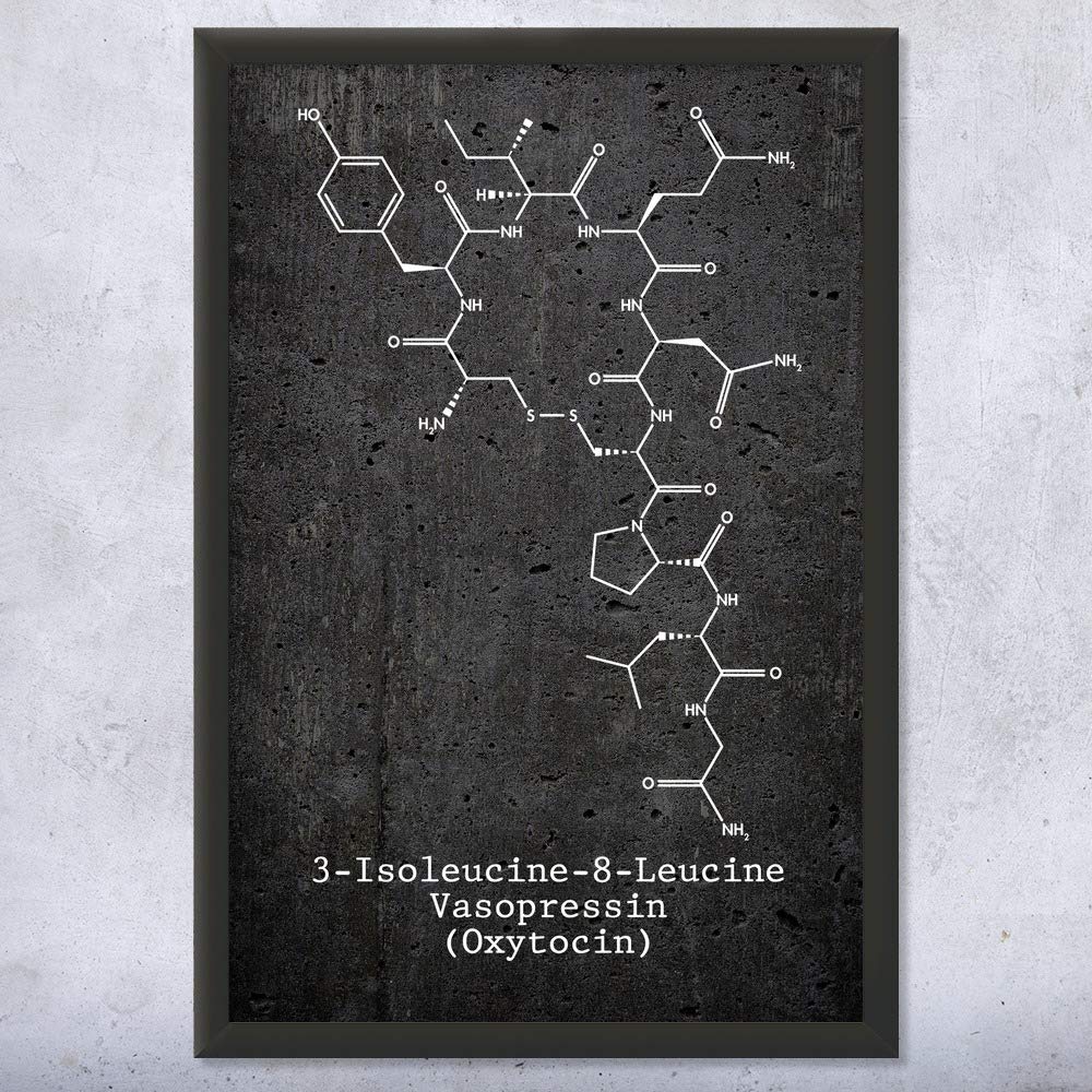 Oxytocin Molecule Art Print - Love Hormone Science Poster - Biologist & Professor Gift - Neurochemistry Wall Decor (12x16) - Perfect for Labs, Offices & Science Classrooms