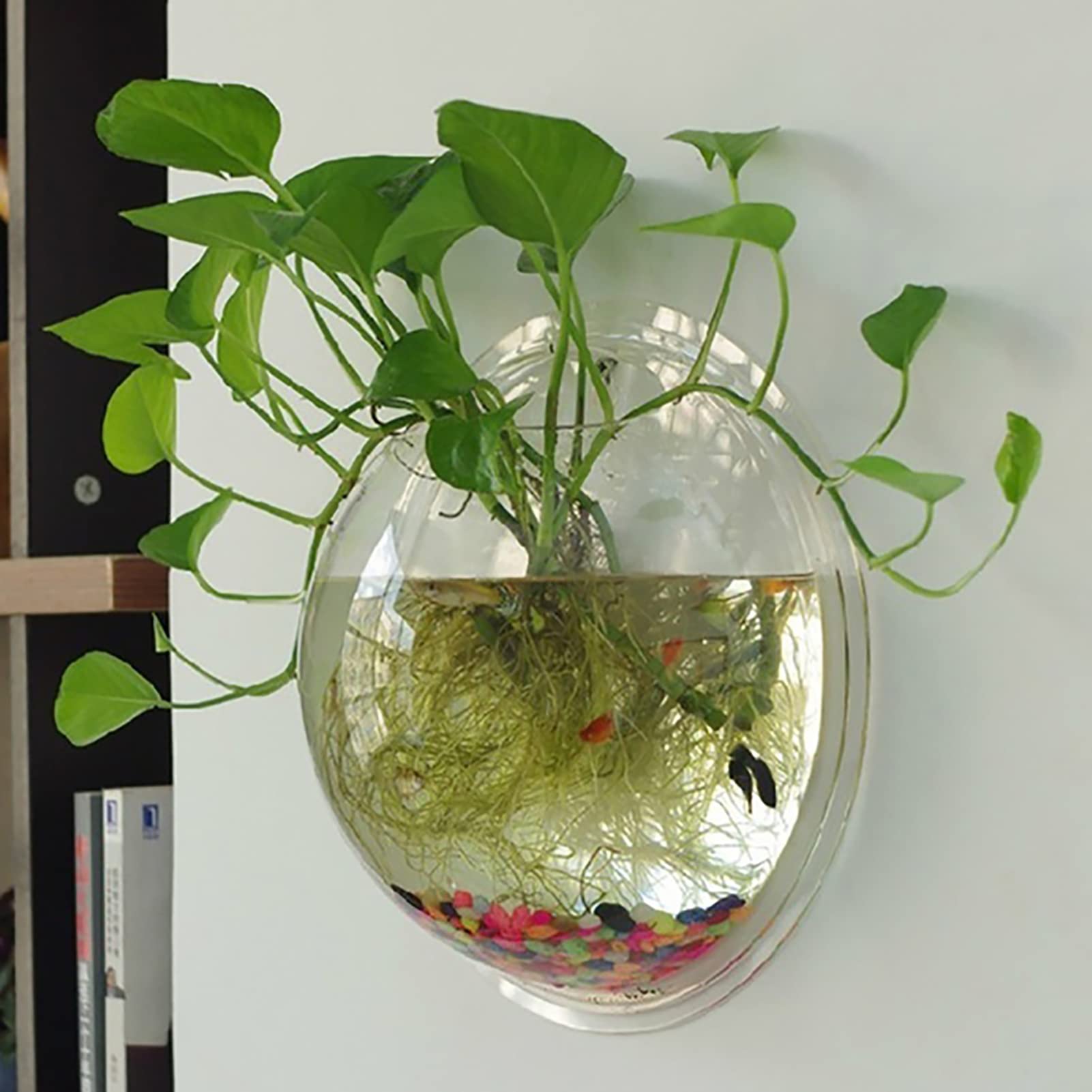 NEREIDS NET Acrylic Wall-Mounted Fish Bowl & Plant Pot - Clear Hanging Aquarium Tank for Betta Fish or Succulent Plants - Perfect for Home, Office Decor & Small Space Gardening