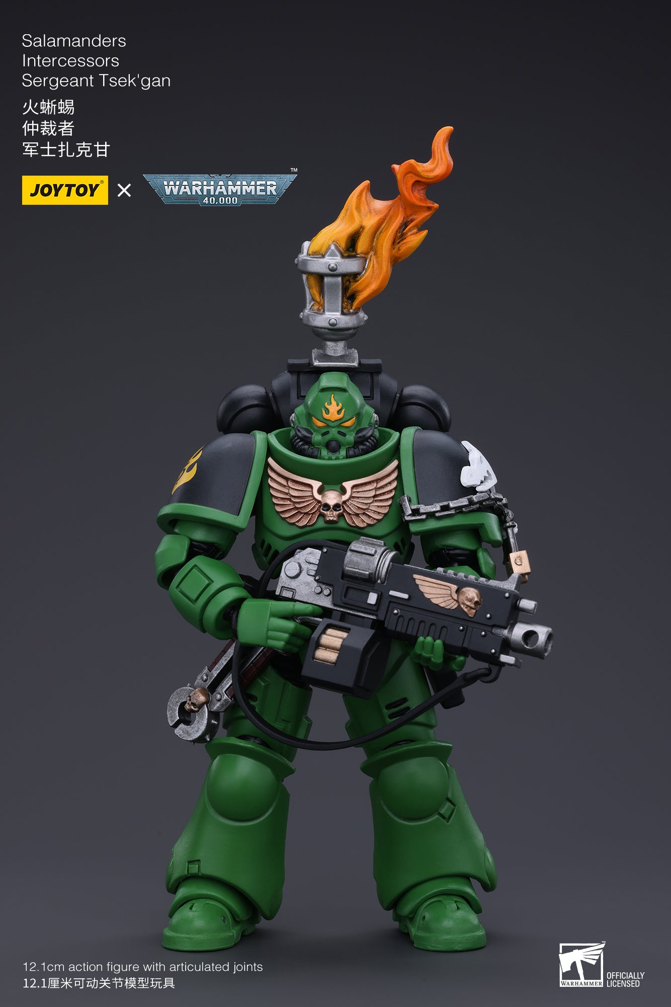 JOYTOY 3.75 Inch Warhammer 40K Salamanders Intercessors Sergeant Tsek'gan Action Figure - 1/18 Scale Collectible Model for Display & Gaming (Reissue Version) | Perfect for Warhammer Fans, Tabletop Battles & Sci-Fi Collectors