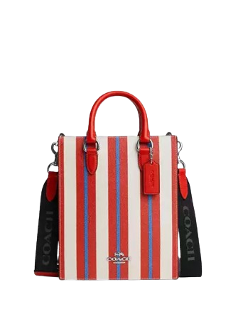 Coach Dylan Tote Bag with Stripe Print - Stylish Women's Designer Handbag for Work, Travel & Everyday Use | Premium Leather Shoulder Bag