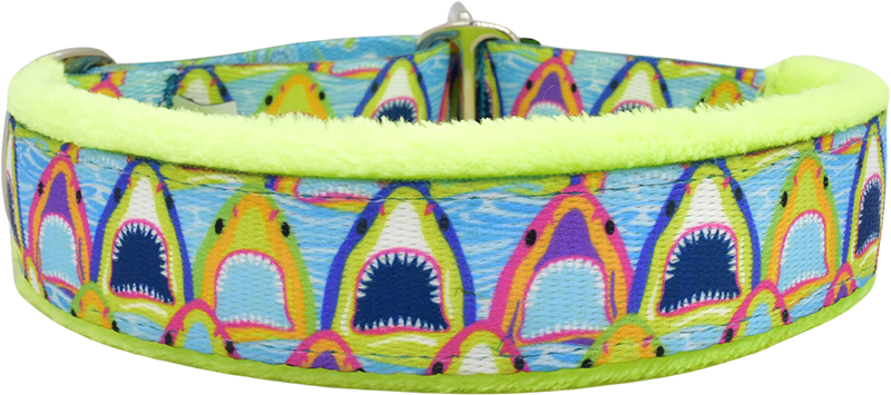1 Bitey Face Everyday Limited Slip Dog Collar - Adjustable Nylon Pet Collar for Small Medium Large Dogs - Perfect for Walking, Training & Outdoor Adventures