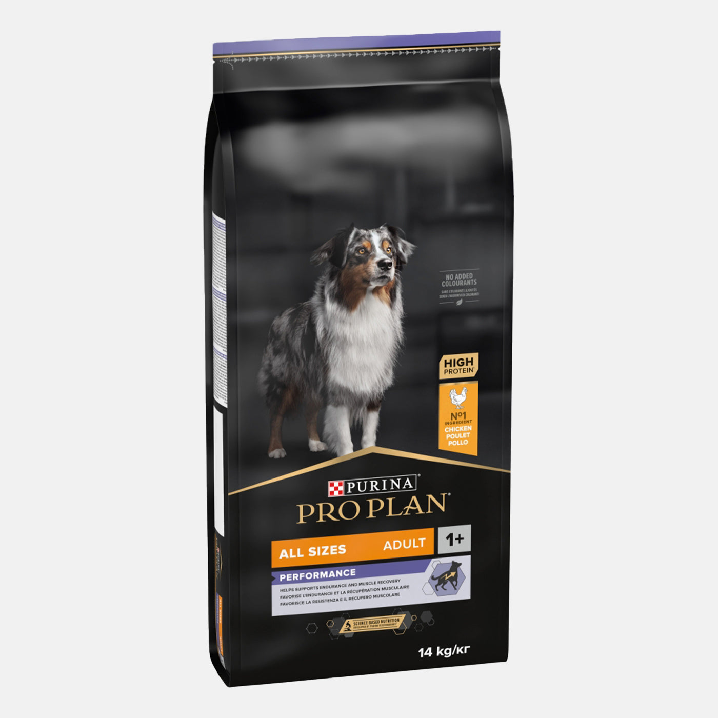 Purina Pro Plan Adult Dog Food with Chicken - High Protein Dry Kibble for Active Dogs, 14kg (30.8 lbs) - Ideal for Training, Hunting & Athletic Performance