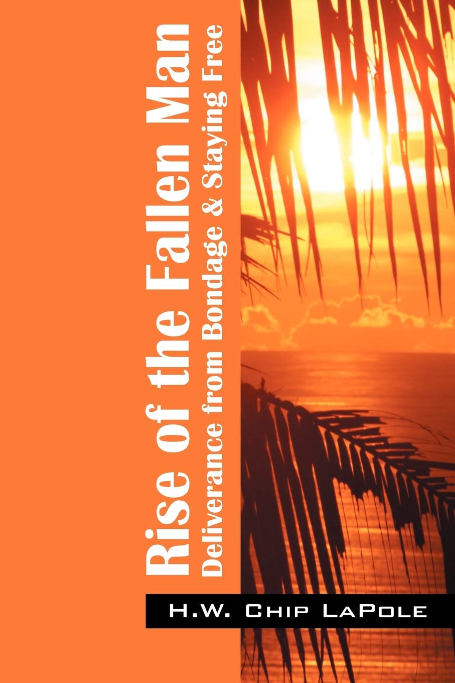 Rise of the Fallen Man: Christian Book on Deliverance from Bondage & Spiritual Freedom - Perfect for Bible Study, Men's Ministry & Personal Growth