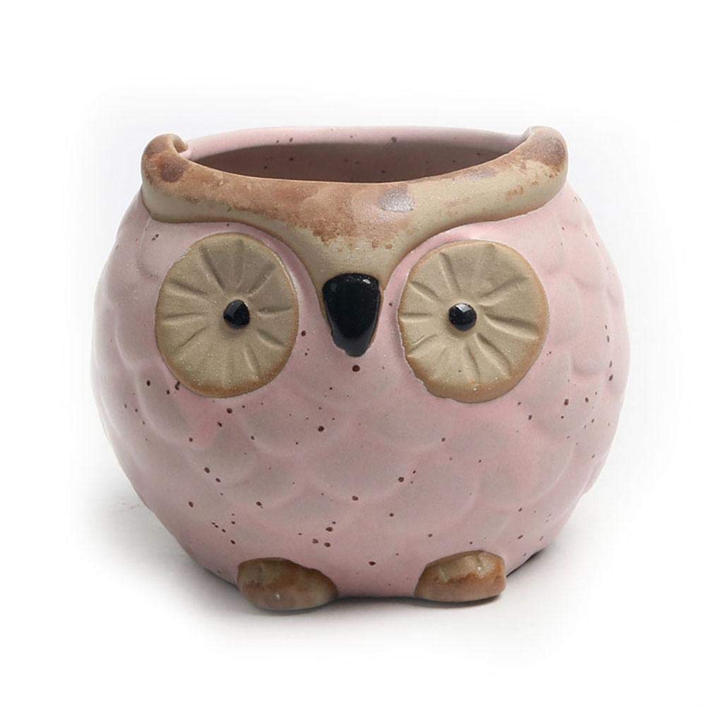Cute Owl-Shaped Ceramic Planter Pot with Drainage Hole - Ideal for Bonsai, Cactus, Succulents & Indoor Plants | Perfect for Home Decor, Office Desk & Garden Gifts