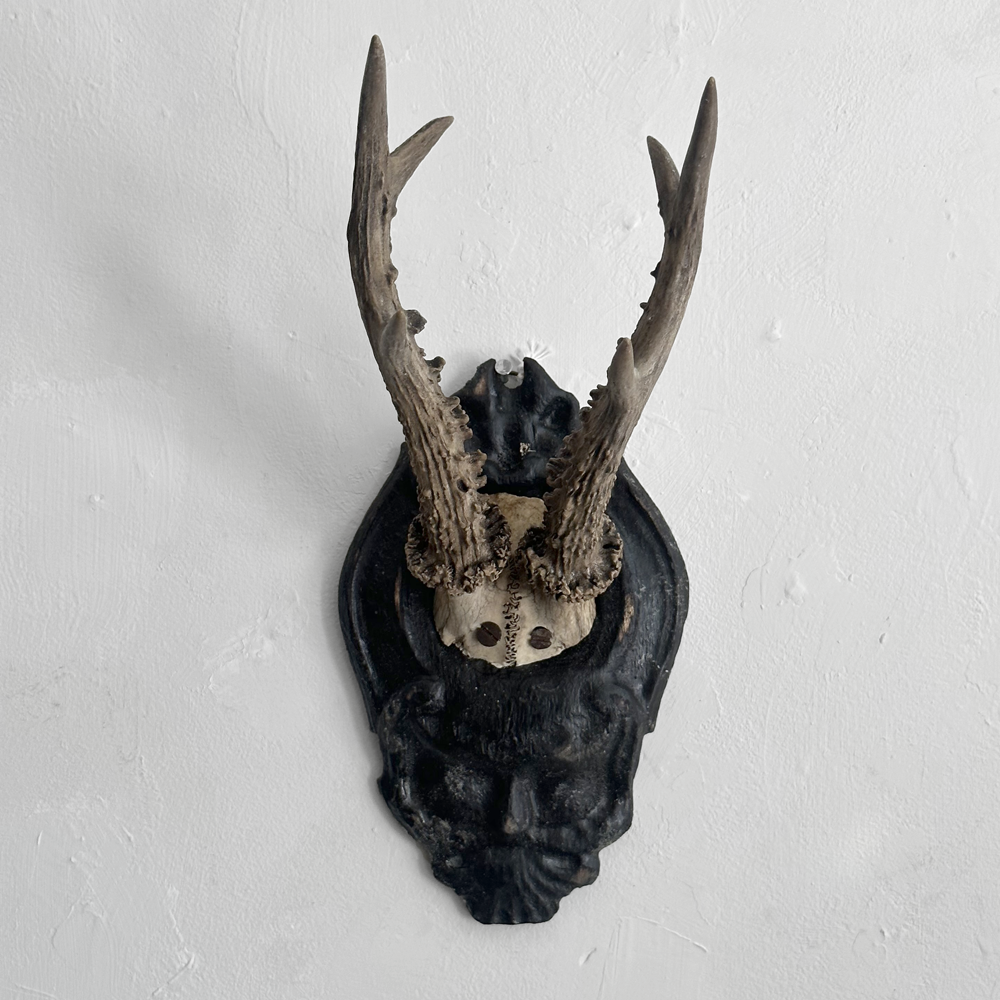 Black Forest Antlers on Carved Wood Plaque - Handcrafted Deer Antler Decor (#557) - Perfect for Cabin, Lodge, and Hunting Room Wall Decor