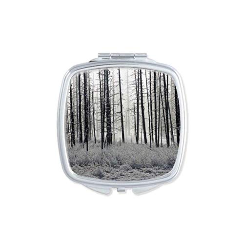 DIYthinker Portable Compact Pocket Mirror - Double Sided Frosted Glass with Winter Snow Forest Design for Makeup, Travel & Home Decor