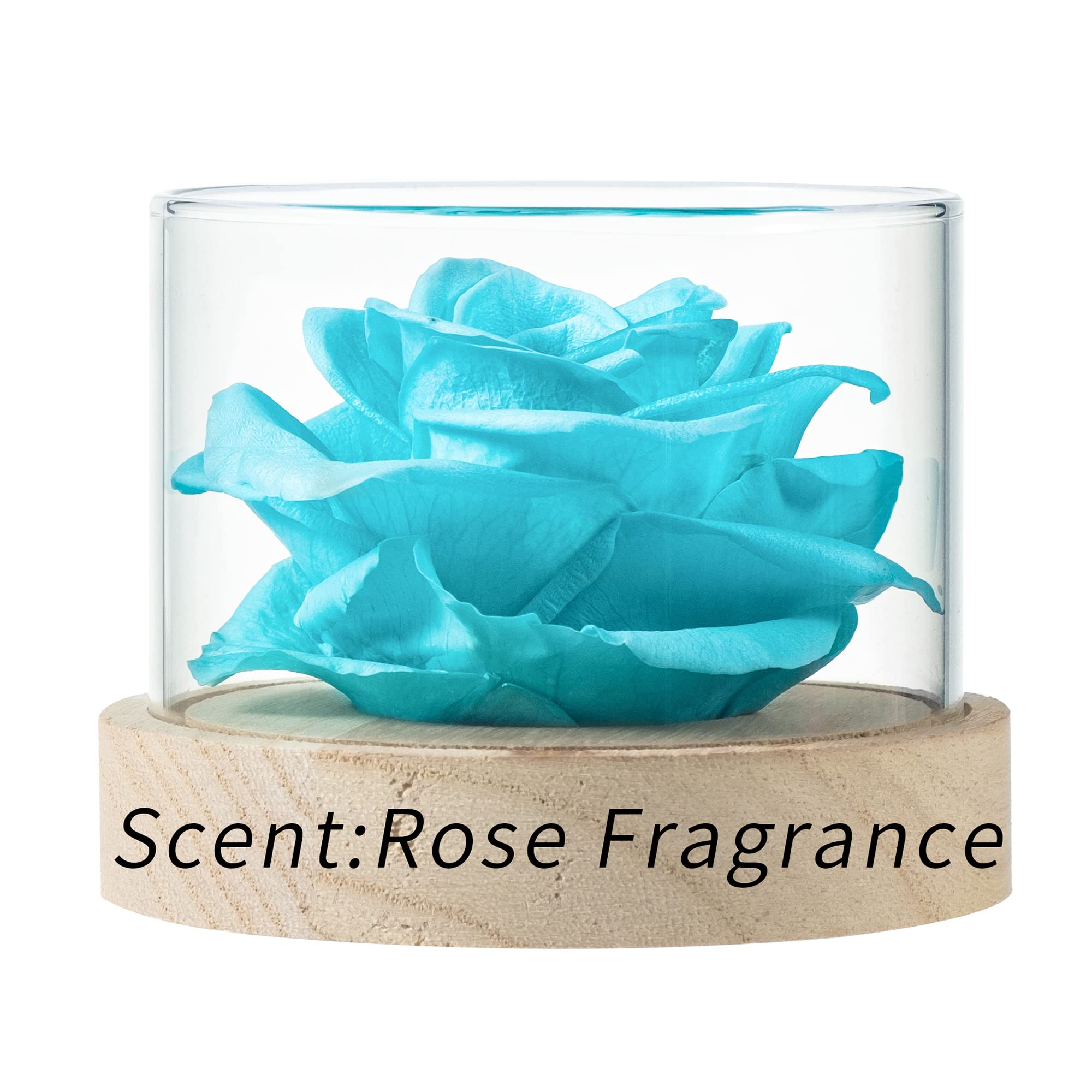 Preserved Real Rose Flower in Tiffany Blue - Romantic Home Scent Fragrance for Valentine's Day, Christmas, Wedding Gift for Her, Mother's Day Present | Perfect for Home Decor, Romantic Surprises & Special Occasions