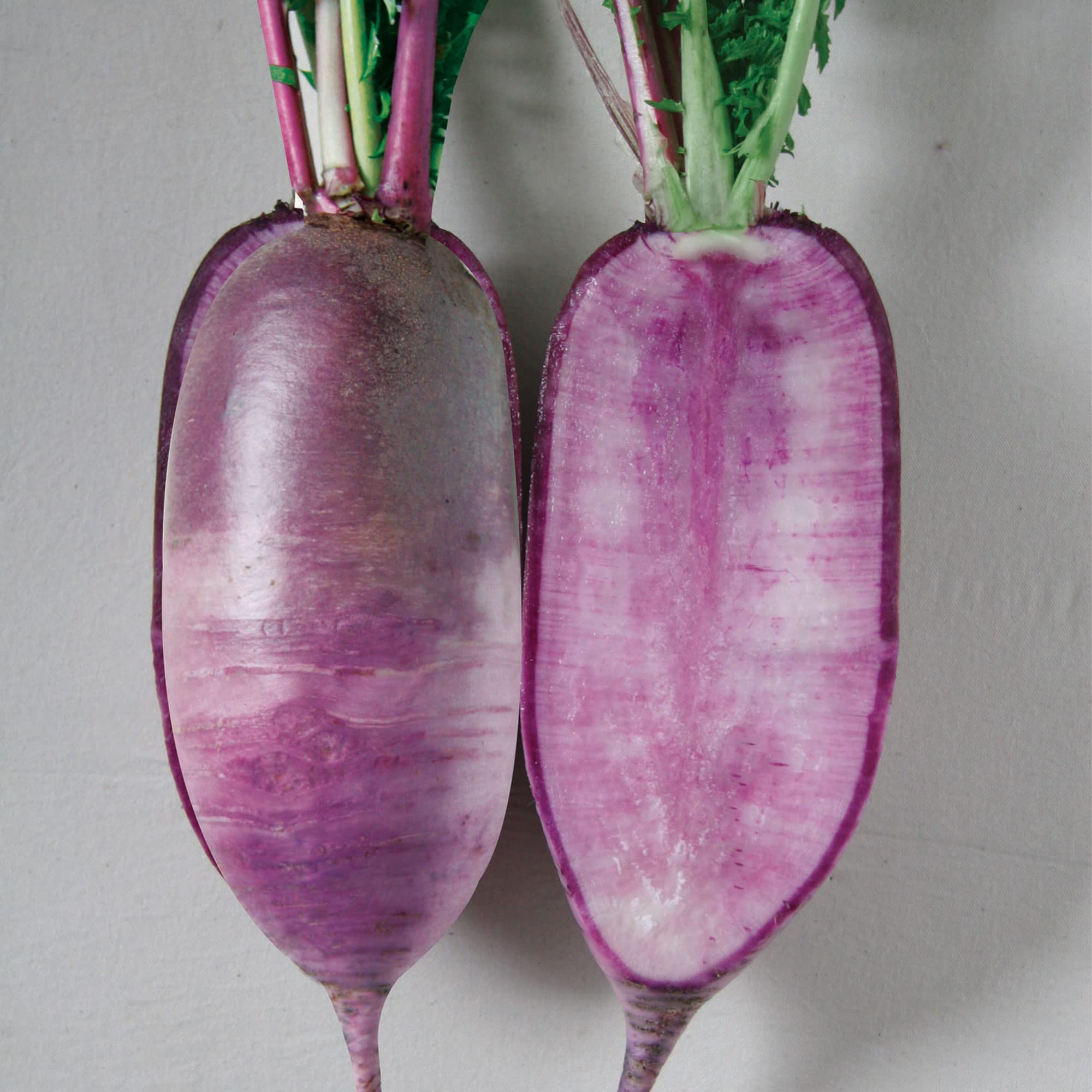 Bora King Korean Radish Seeds - Non-GMO F1 Hybrid - 1 Lb (~72,000 Seeds) - Asian Garden Vegetable for Home Gardening & Pickling