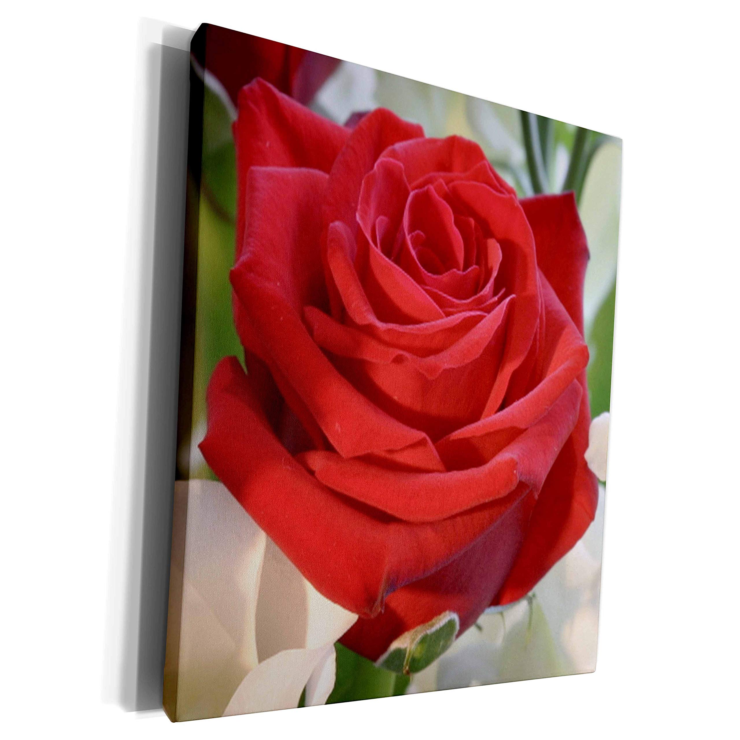3D Rose Canvas Art - Red Rose Love Heart Wall Decor - Museum Grade Wrapped Canvas Print (cw_46847_1) - Perfect for Living Room, Bedroom, Office & Gift Giving