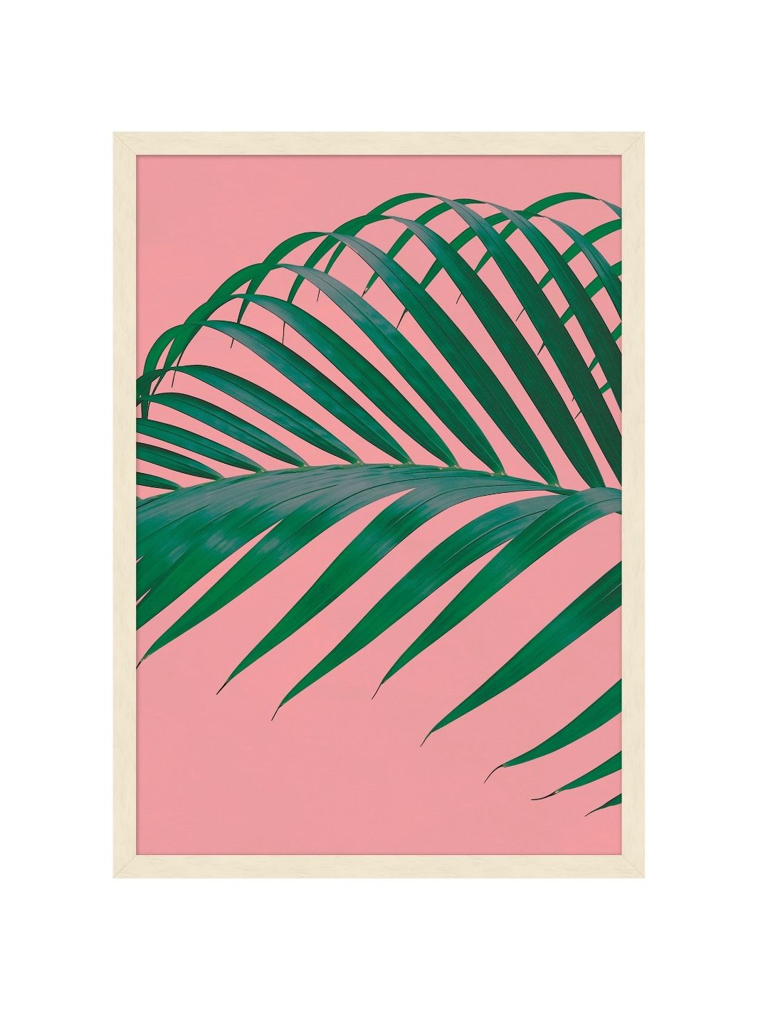 Nathan Turner Framed Art Print 'Editorial Vegetation 4' - Botanical Wall Decor for Living Room, Bedroom & Office