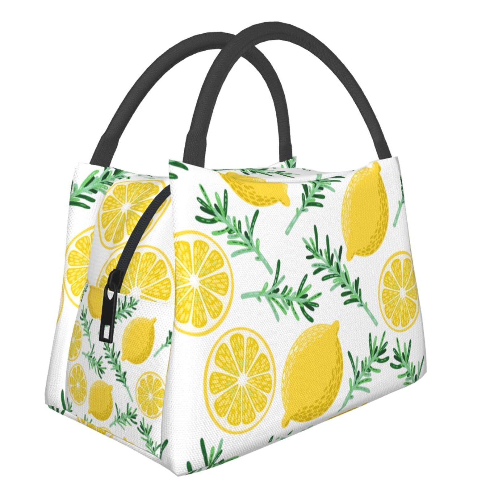 Reusable Insulated Lunch Box with Container - Eco-Friendly Cooler Bag for School, Work & Picnic (Men, Women, Boys & Girls) | Perfect for Office Meals, Outdoor Activities & Daily Commute