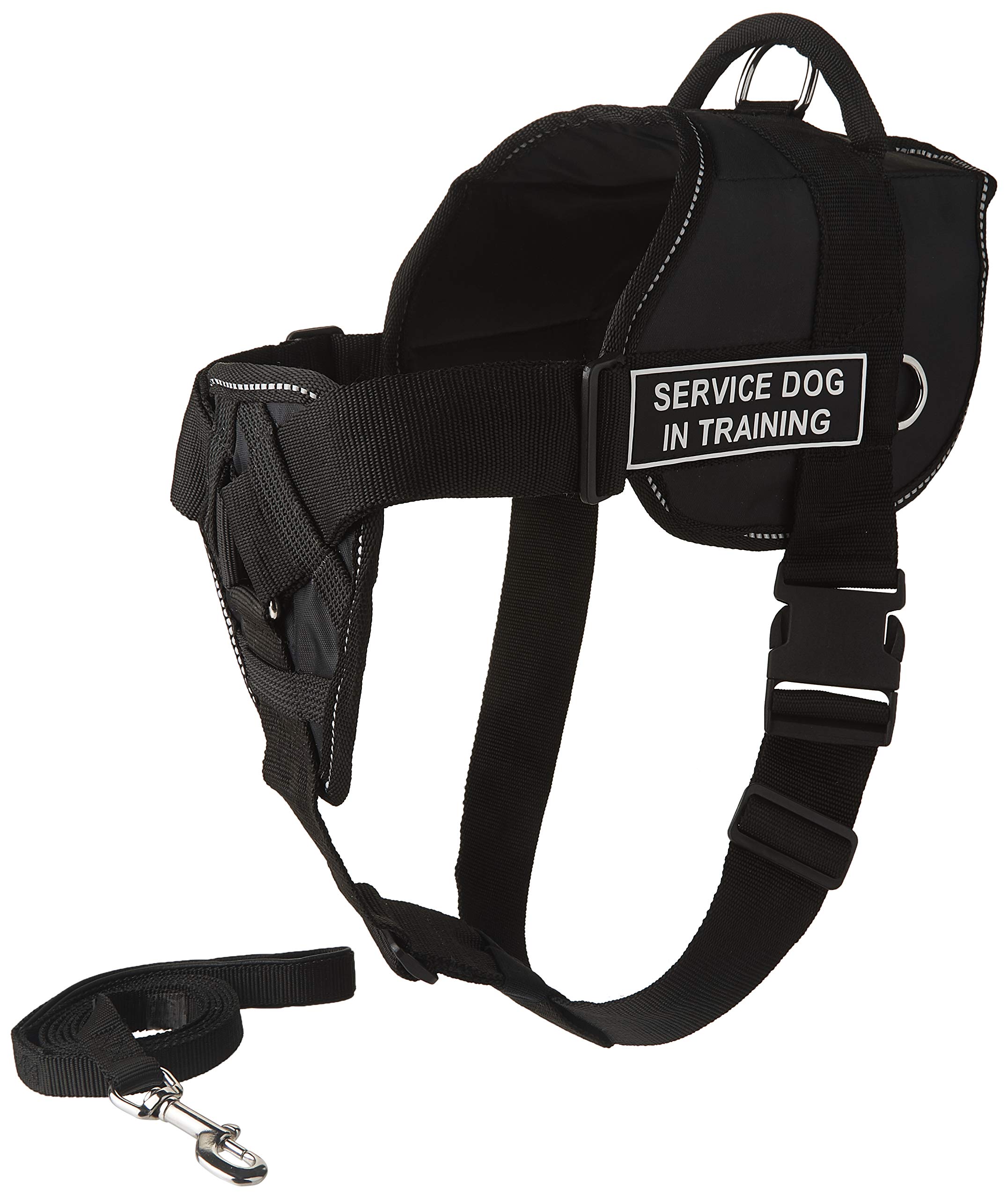 DT Fun Chest Support Harness for Service Dog in Training - X-Large Size with 6ft Padded Leash | Comfortable Training Gear for Therapy & Assistance Dogs