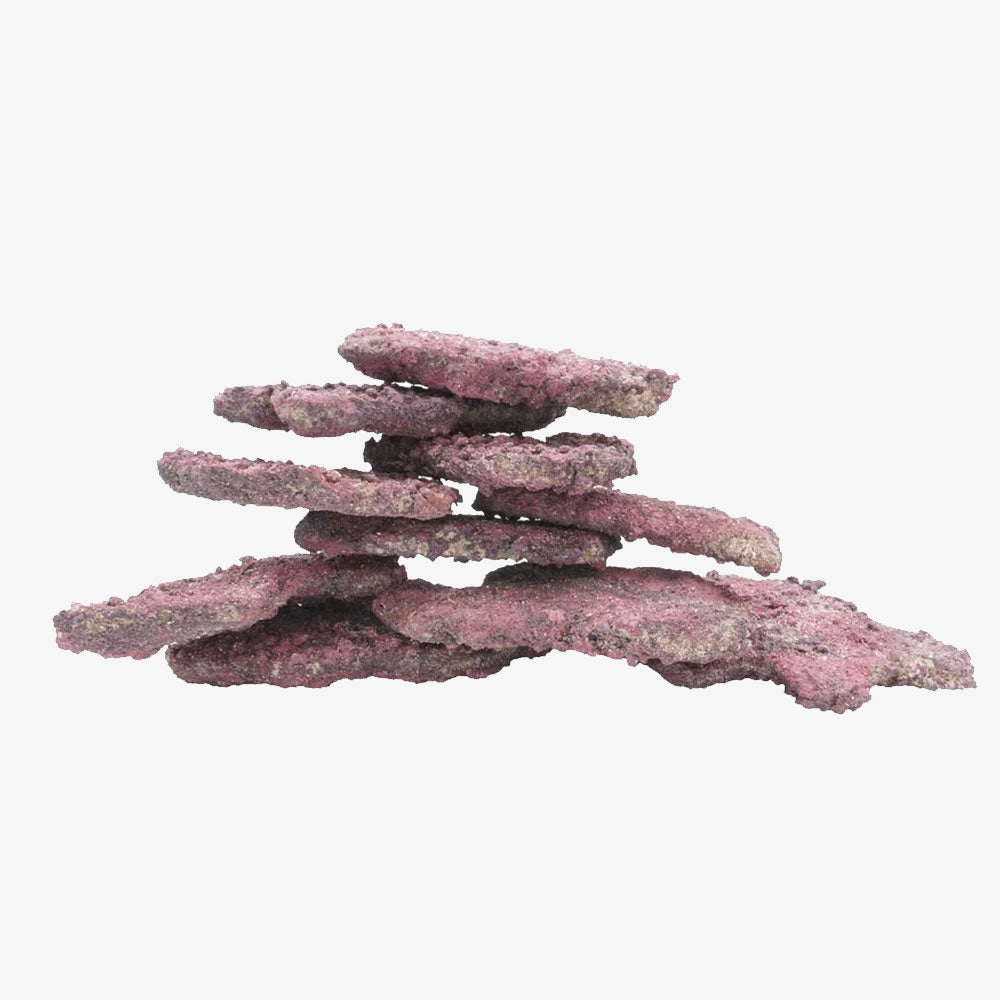 LifeRock LED Aquarium Decorations - 10 Pack for Saltwater & Freshwater Fish Tanks - Perfect for Coral Frags, Climbing Fish & Natural Aquascaping