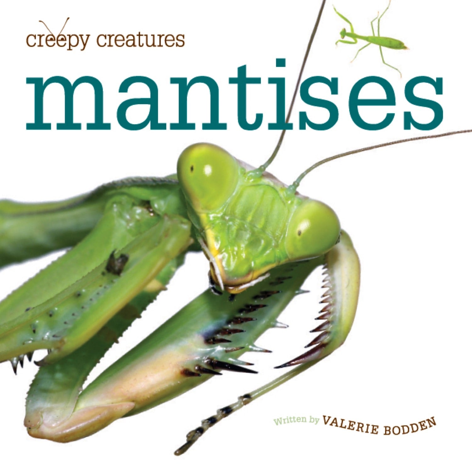 Praying Mantis Book - ISBN 9781583419946 - Perfect for Nature Lovers & Insect Enthusiasts