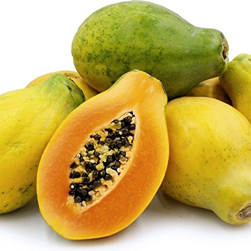 Organic Hawaiian Papaya Seeds (Carica Papaya) - Non-GMO, Heirloom, Packet of 5 - Perfect for Home Gardening, Tropical Fruit Cultivation & Healthy Smoothies