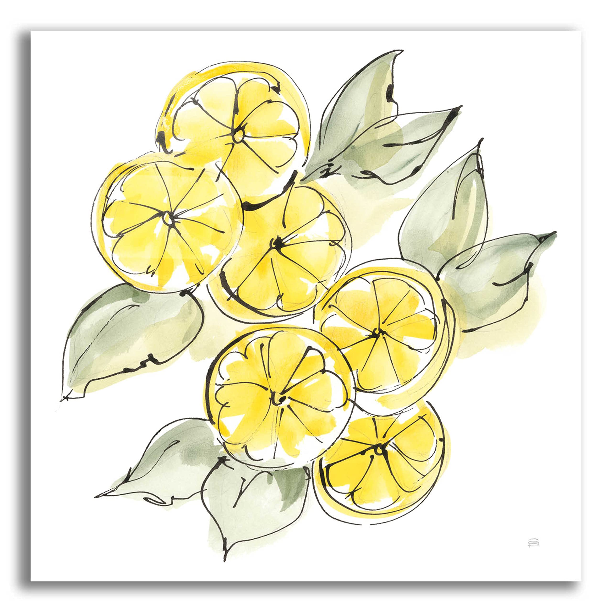 Cut Lemons II by Chris Paschke - Vibrant 24x24 Inch Acrylic Glass Wall Art - Modern Kitchen Decor & Dining Room Artwork