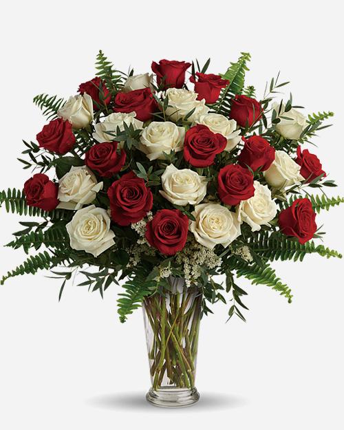 24 Red & White Roses Bouquet - Fresh Long Lasting Flowers for Anniversary, Wedding, Valentine's Day - Perfect Romantic Gift for Her