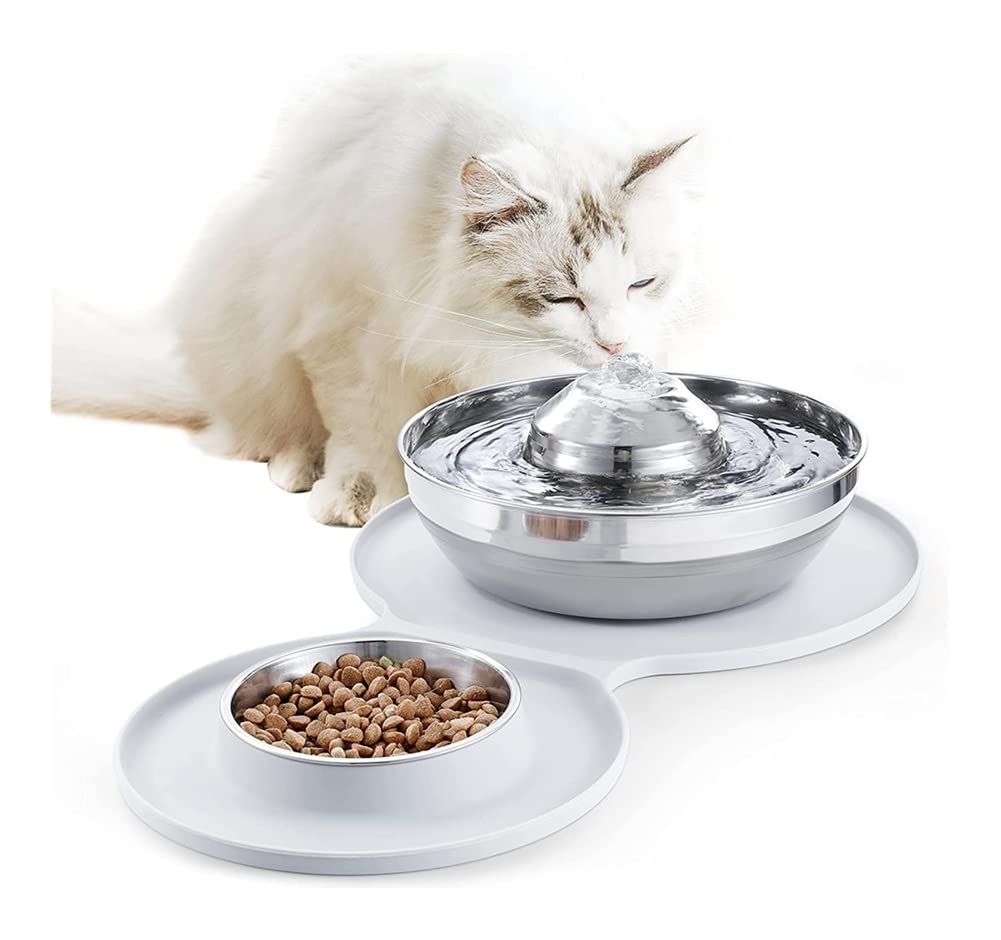 HAOKTSB Stainless Steel Pet Fountain & Food Bowl 2-in-1 Set - 2L/67oz Automatic Water Dispenser with 248ml Food Bowl & 3 Filters for Cats & Dogs - Perfect for Home, Office, and Travel Use