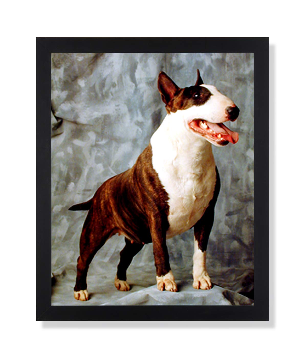 Bull Terrier Puppy Dog Art Print - Black Framed Animal Picture for Kids Room Decor | Perfect for Nursery, Bedroom & Playroom Wall Art