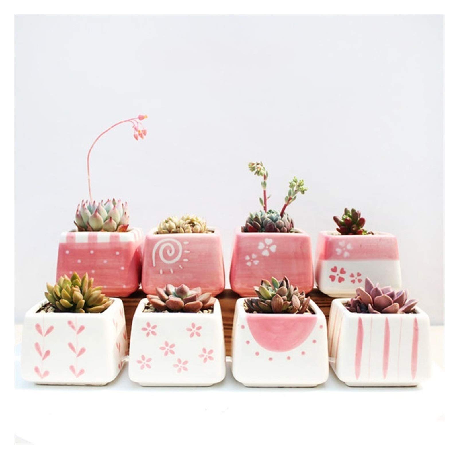Hand-Painted Mini Succulent Flower Pots - Set of 8 Glazed Cute Planters for Home & Garden Decor, Small Cactus Pots for Indoor Plants (Plants Not Included) - Perfect for Windowsills, Office Desks & Gift Giving
