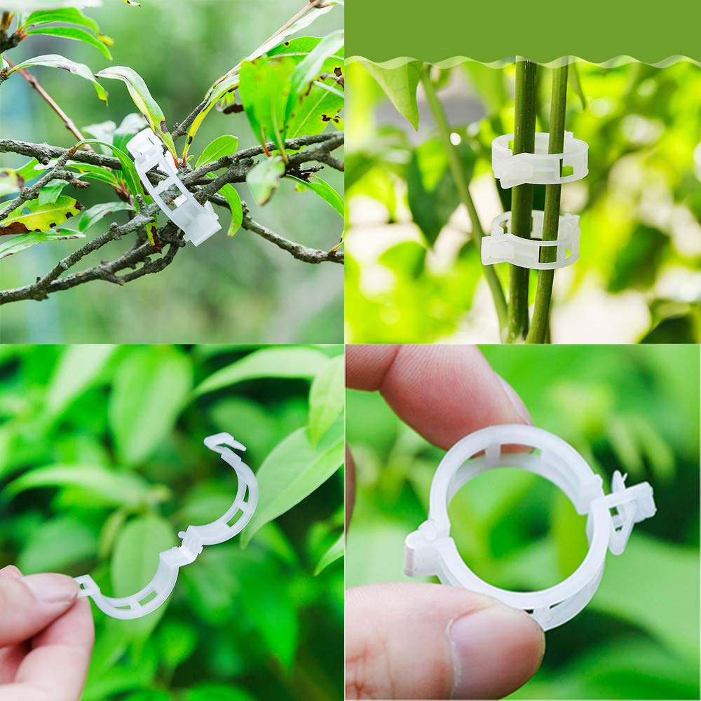 Bamboo Plant Support Clips - Garden Twine Trellis for Tomatoes, Vegetables & Flowers - Clear Garden Clips for Patio, Lawn & Outdoor Plant Support - Perfect for Vine Training & Plant Growth