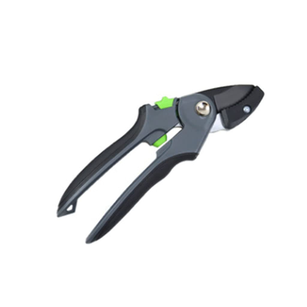 Premium Garden Pruning Shears - Professional Bypass Pruner for Plants, Flowers & Trees | Heavy Duty Gardening Tools for Trimming, Shaping & Landscaping | Ideal for Home Gardeners & Professional Landscapers
