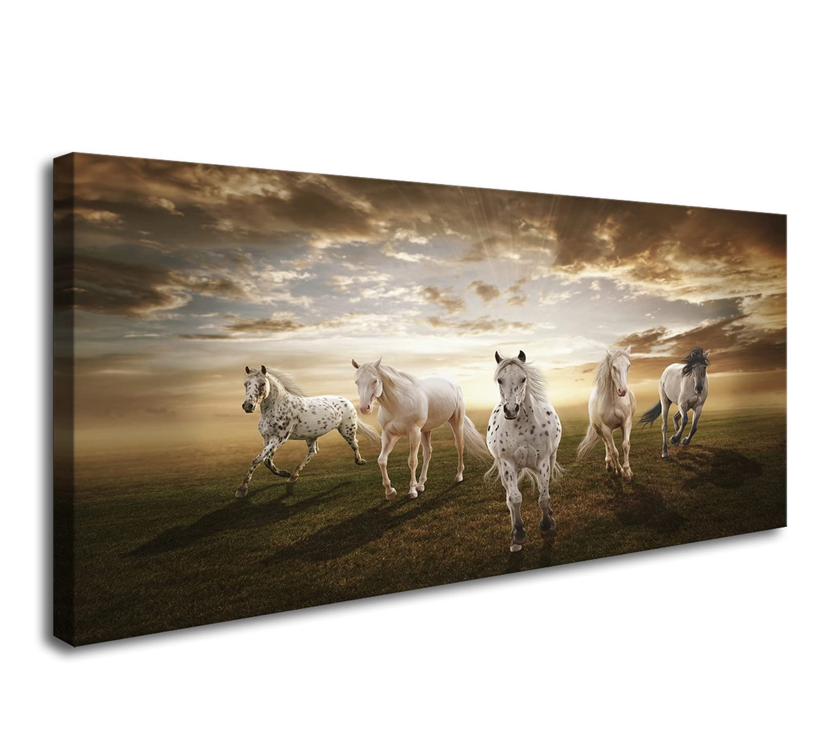 XXMWallArt FC1962 Horse Canvas Wall Art - Modern Fine Art Painting Print for Living Room, Bedroom, Kitchen, Office & Home Decor - Perfect for Farmhouse, Contemporary & Rustic Interior Design Styles