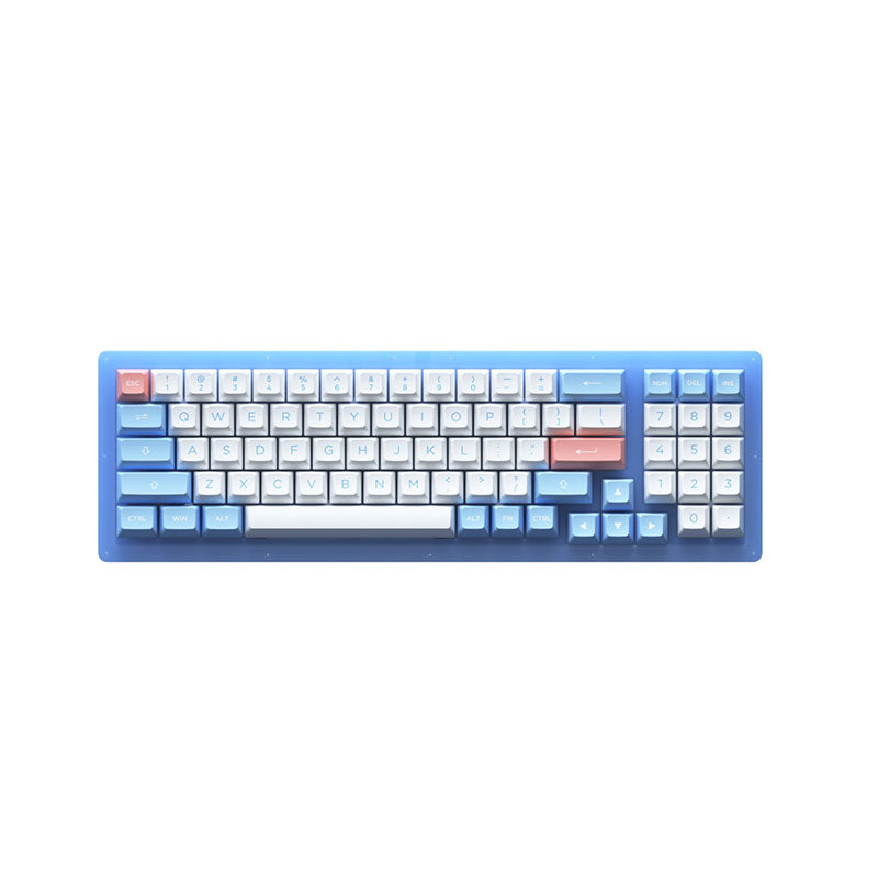 Akko ACR 98 Mini RGB Hot Swappable Mechanical Keyboard with KTT Blue Switches - USB C Wired Gaming Keyboard for PC, Mac, Typing & Office Work