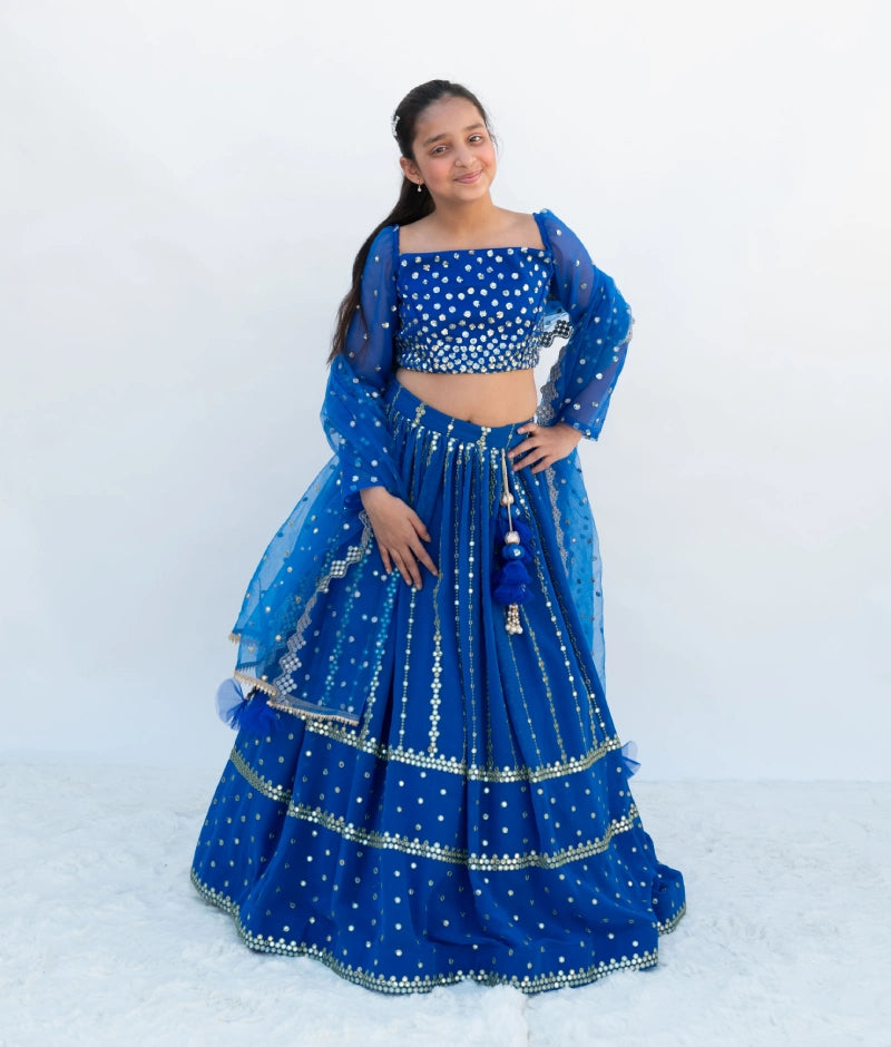 Pre Order: Blue Embroidered Lehenga Set for Women | Indian Traditional Bridal Wear | Wedding, Festival & Party Outfit