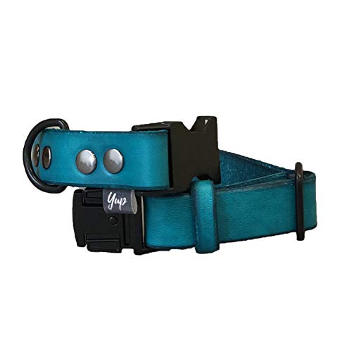 Premium Quick Release Dog Collar - Teal Leather with Black Metal Hardware | Adjustable Colorful Pet Collar for Small Medium Large Dogs | Perfect for Walking, Training & Outdoor Adventures