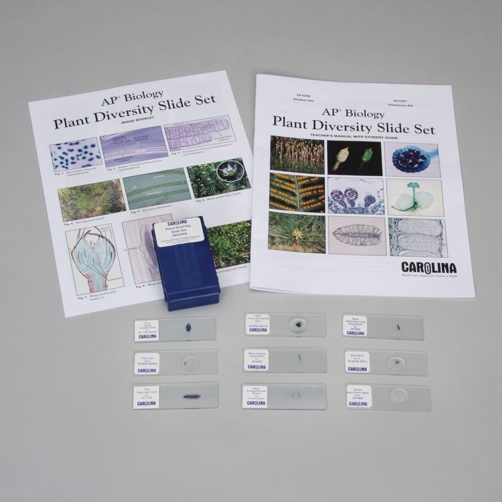 Plant Diversity Microscope Slide Set for AP Biology - 25 Prepared Specimens for High School & College Lab Studies, Botany Classroom Experiments & Homeschool Science Projects