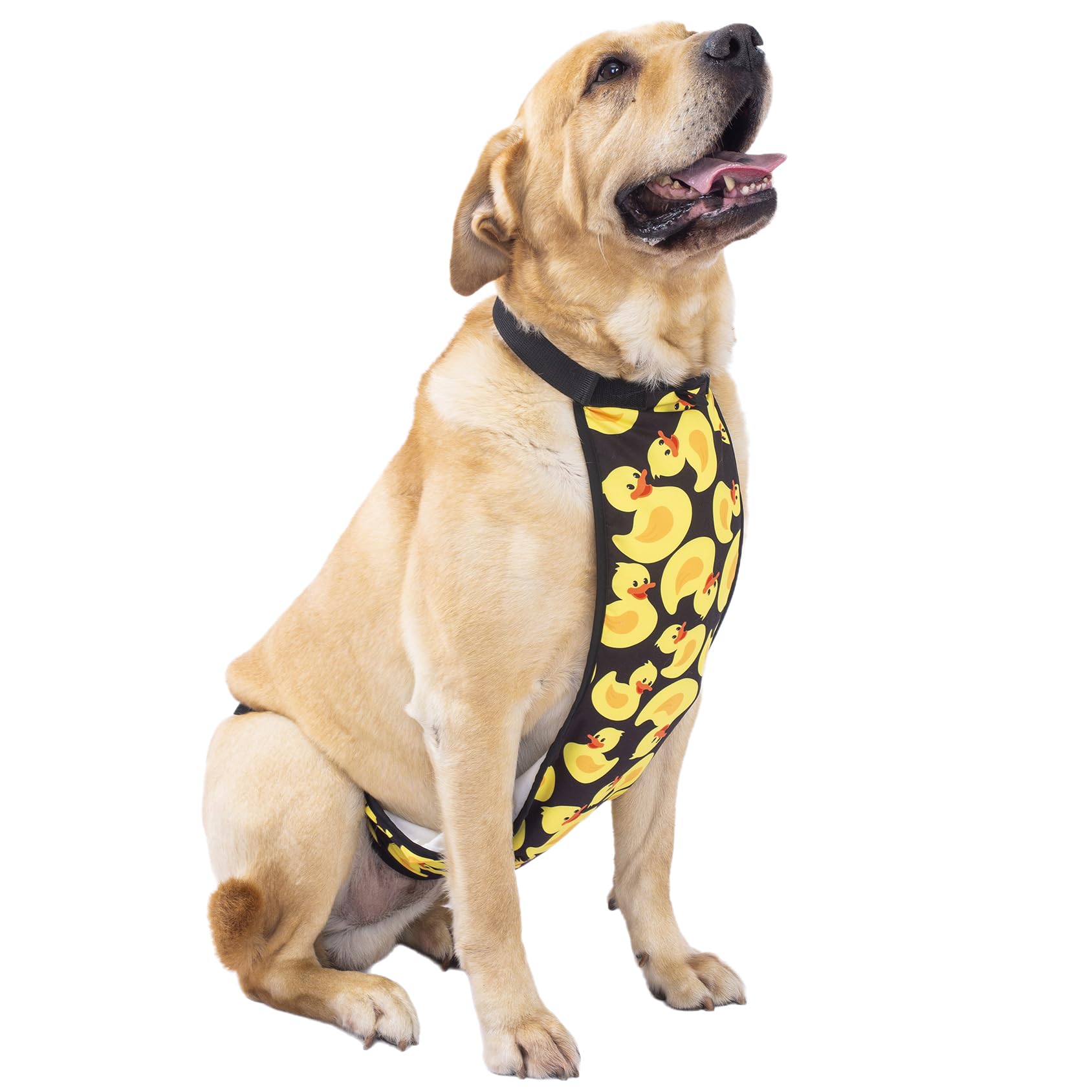 LovinPet Large Dog Belly Cover - Washable Dog Belly Wrap & Recovery Suit for Post-Surgery Protection | Abdominal Protective Clothing for Dogs | Ideal for Spay/Neuter Recovery, Wound Care, and Post-Operative Comfort