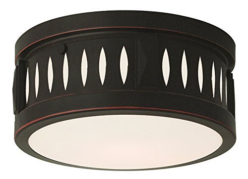 10 Inch 2-Light Flush Mount Ceiling Fixture in Olde Bronze Finish - Perfect for Bedroom, Hallway, and Entryway Lighting