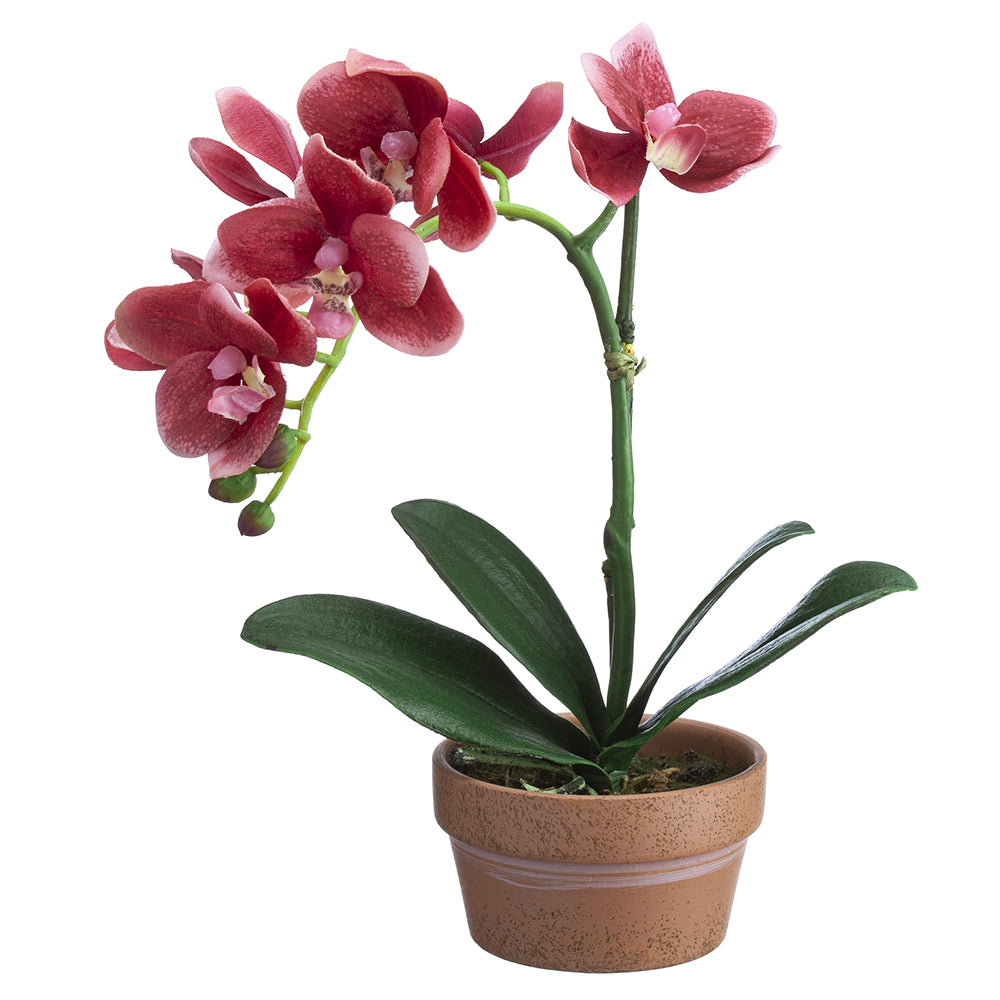 Premium 11-Stem Silk Phalaenopsis Orchid Flower Arrangement in Pink with Terracotta Pot - Set of 4 | Elegant Home Decor for Living Room, Office & Wedding Centerpieces