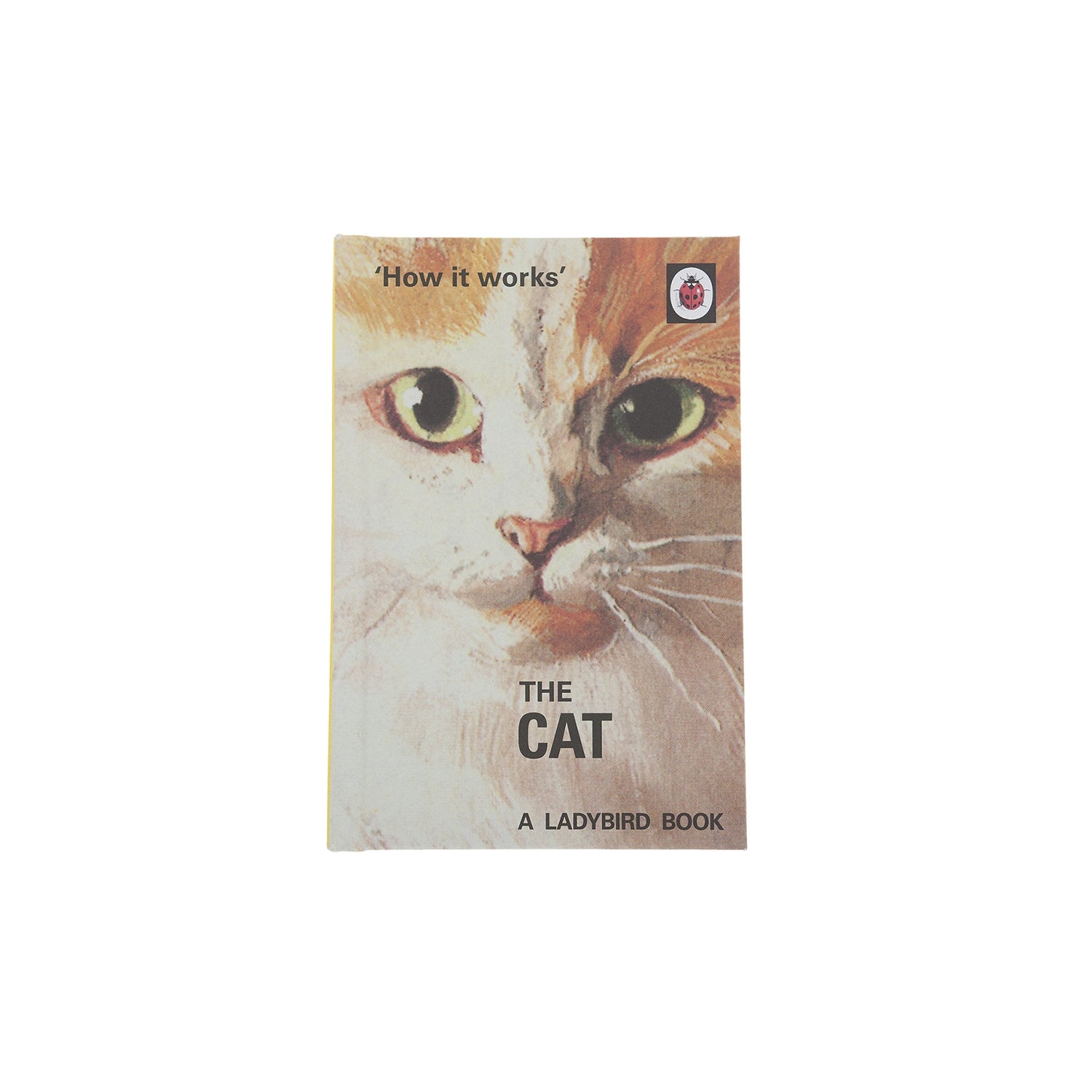 The Cat Book: A Complete Guide to Understanding Your Feline Friend - Perfect for Cat Owners, Lovers & Pet Care Enthusiasts