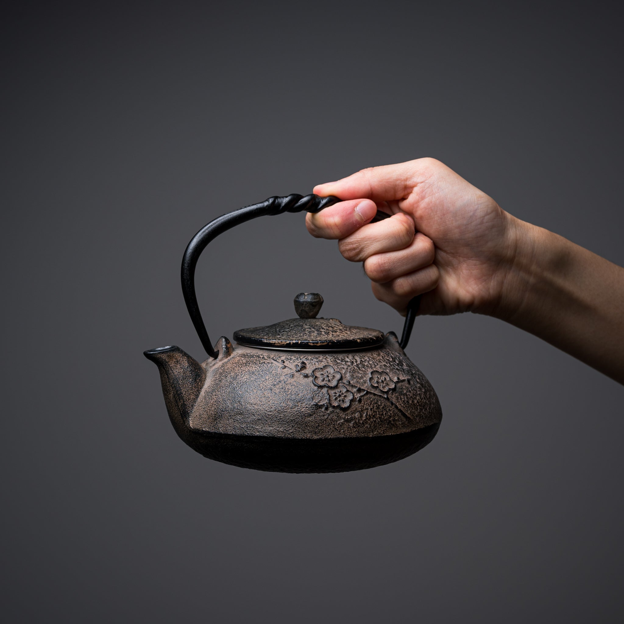 Premium Japanese Kyo Kiyomizu Ware Cast Iron Teapot - 510ml Plum Design, Authentic Nambu Ironware for Tea Brewing | Perfect for Japanese Tea Ceremony, Home Decor & Gift Giving