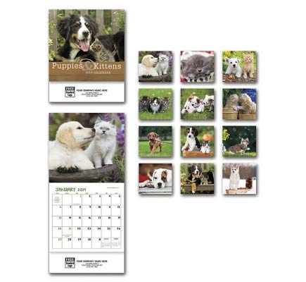 2019 Puppies & Kittens Mini Wall Calendar - Cute Animal Lovers Desk Planner for Home & Office Decor - Perfect for Pet Lovers, Gift Giving & Daily Scheduling