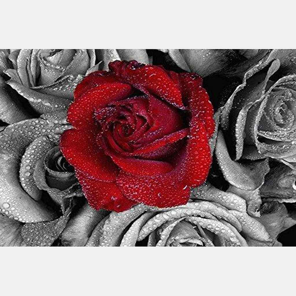 5D Diamond Painting Kit for Adults & Kids - Red Rose DIY Diamond Art (50x65cm) Full Drill Home Wall Decor - Perfect for Relaxation & Stress Relief, Birthday Gifts, Living Room & Bedroom Decoration