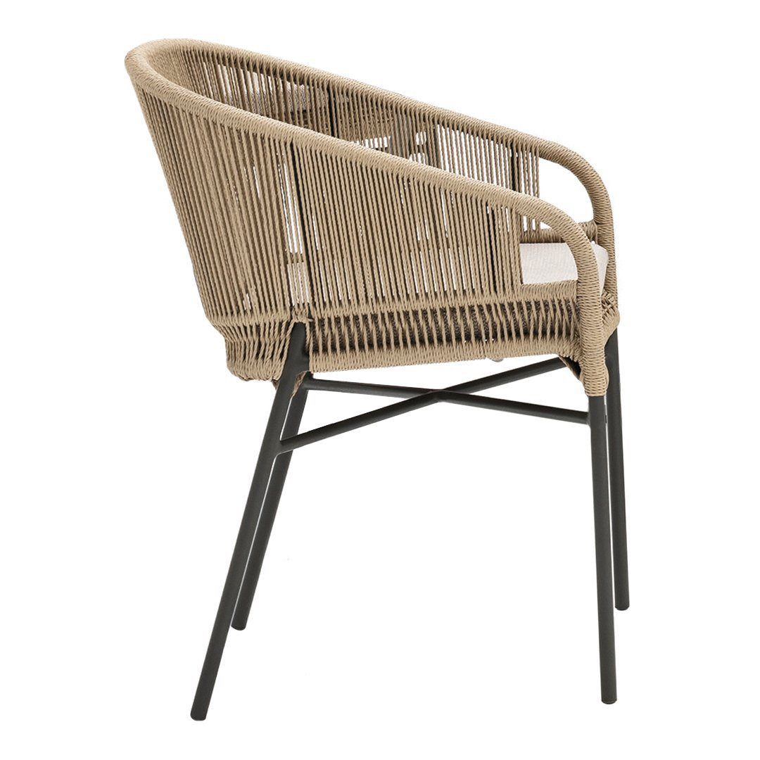 Premium Cricket Dining Armchair 2989 - Modern Wooden Dining Chair for Home & Restaurant Use