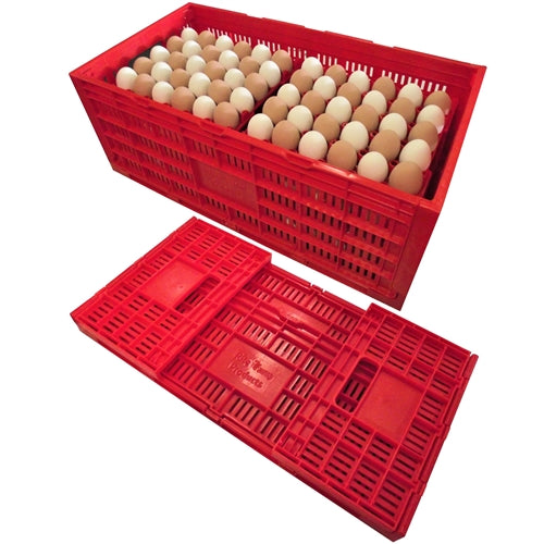 Rite Farm Products Chicken Egg Transport Crate - Durable Poultry Egg Carrier for Safe Transport - Perfect for Farmers, Backyard Chicken Keepers & Egg Delivery